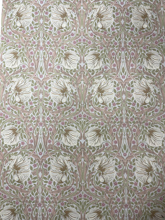 Pimpernel №11